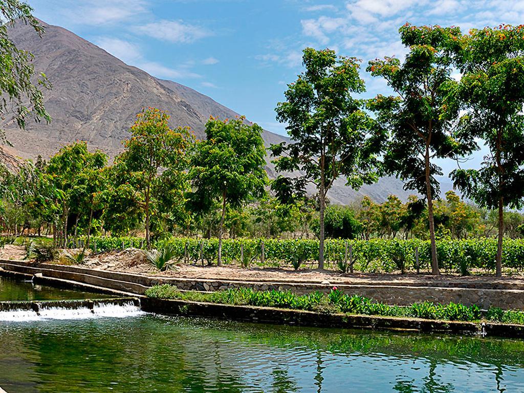 Guizado Portillo Hacienda & Resort Lunahuana Ngoại thất bức ảnh